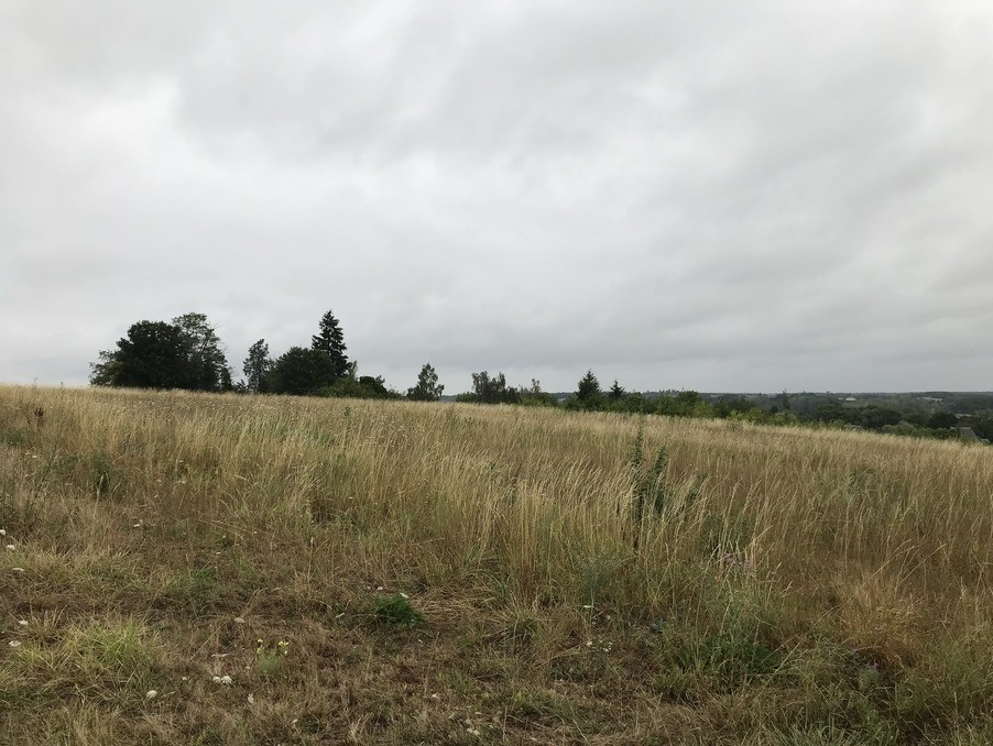 Vente Terrain à Bléré 0 pièce