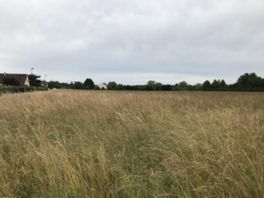 Vente Terrain à Ambillou 0 pièce