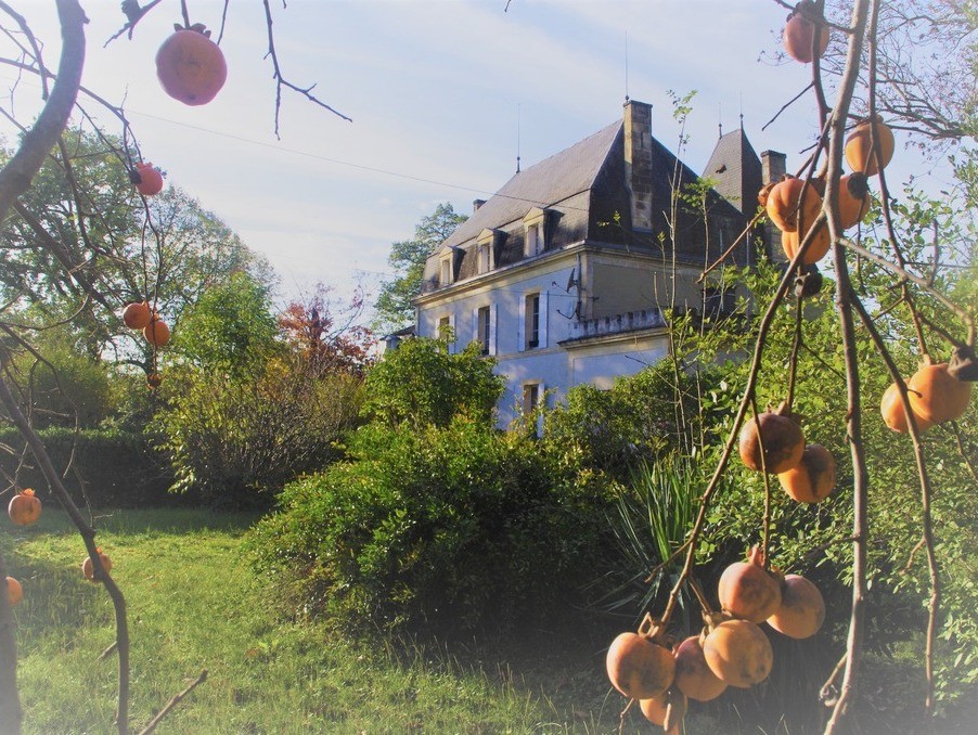 Vente Maison à Pineuilh 19 pièces