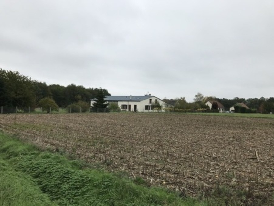 Vente Terrain à Cheillé 0 pièce