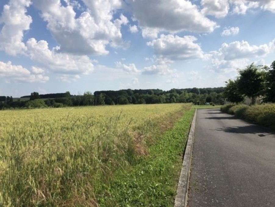 Vente Terrain à Sainte-Maure-de-Touraine 0 pièce