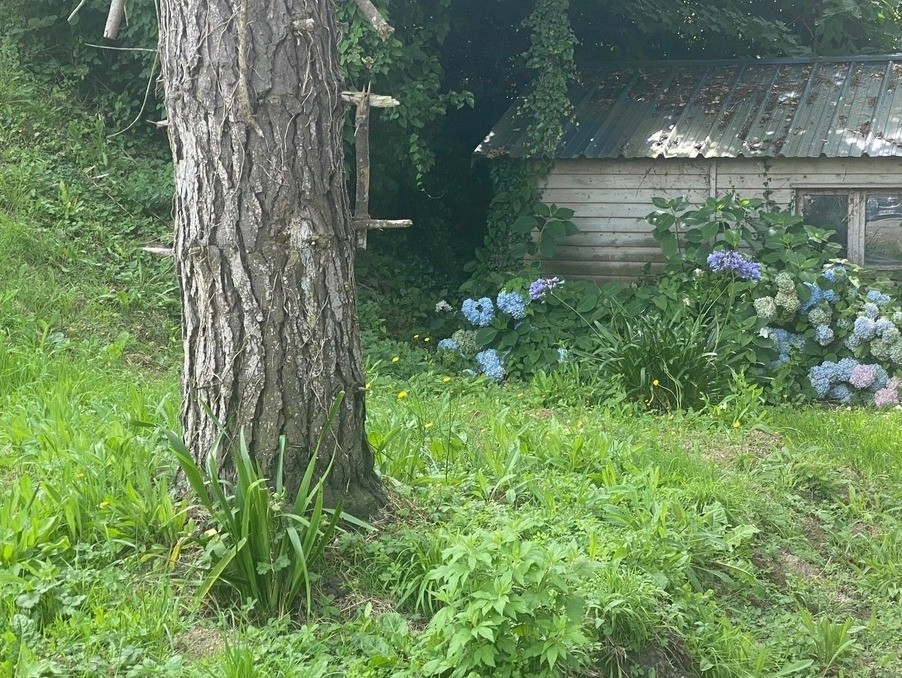 Vente Terrain à Saint-Cast-le-Guildo 0 pièce