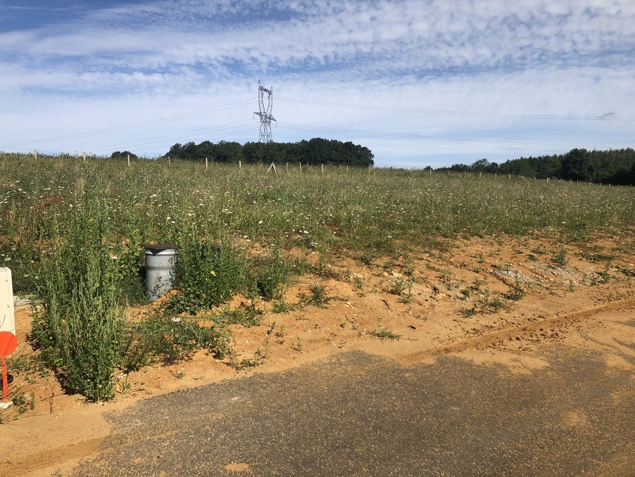 Vente Terrain à Nouzilly 0 pièce