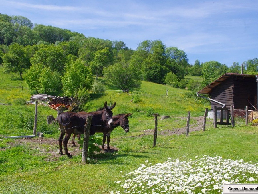 Vente Maison à Larivière-Arnoncourt 8 pièces