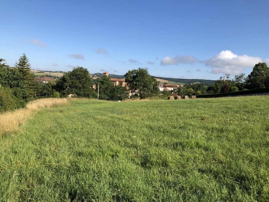 Vente Terrain à Eaunes 0 pièce