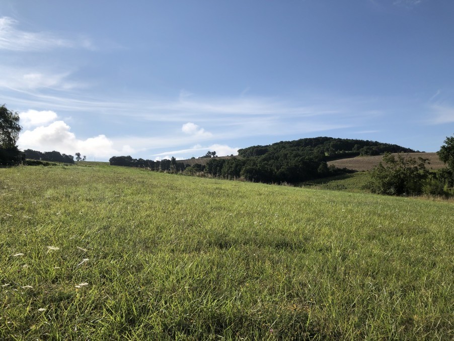 Vente Terrain à Eaunes 0 pièce