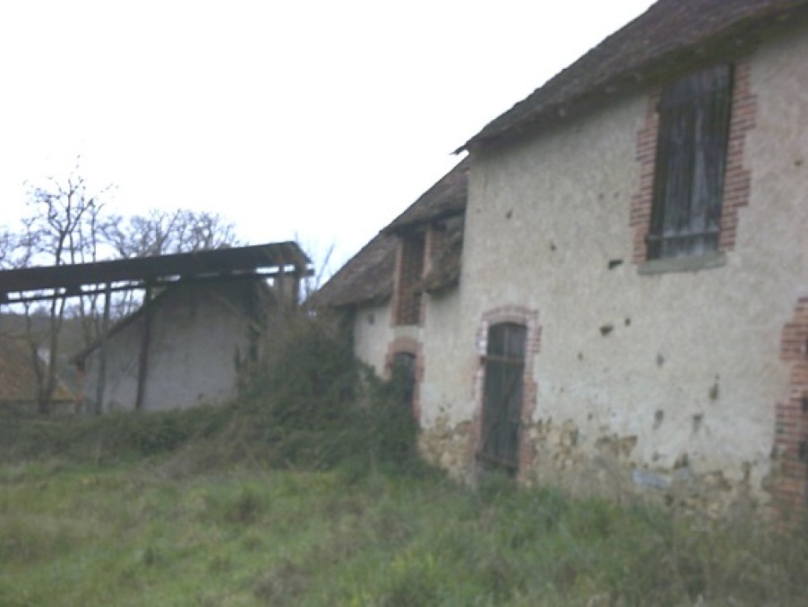 Vente Maison à Lussac-les-Églises 0 pièce