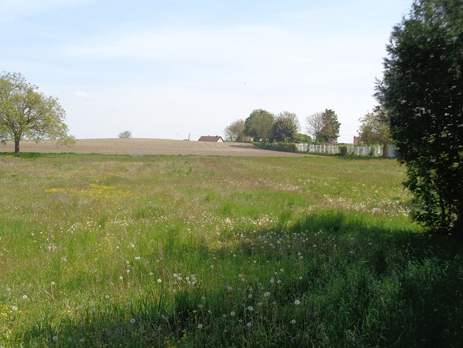 Vente Terrain à Saint-Gérand-le-Puy 0 pièce