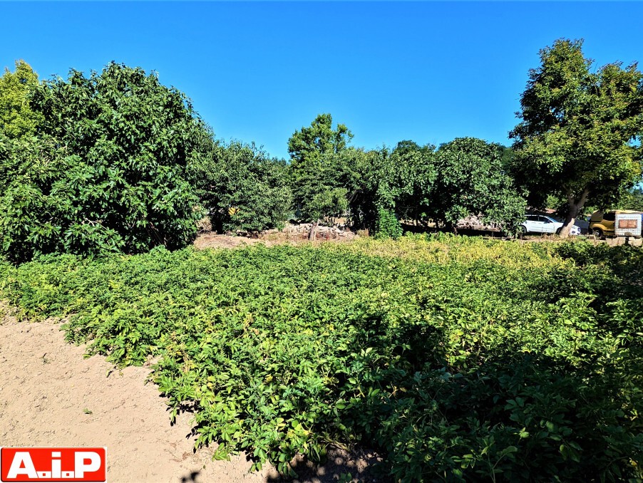 Vente Terrain à Cerizay 0 pièce