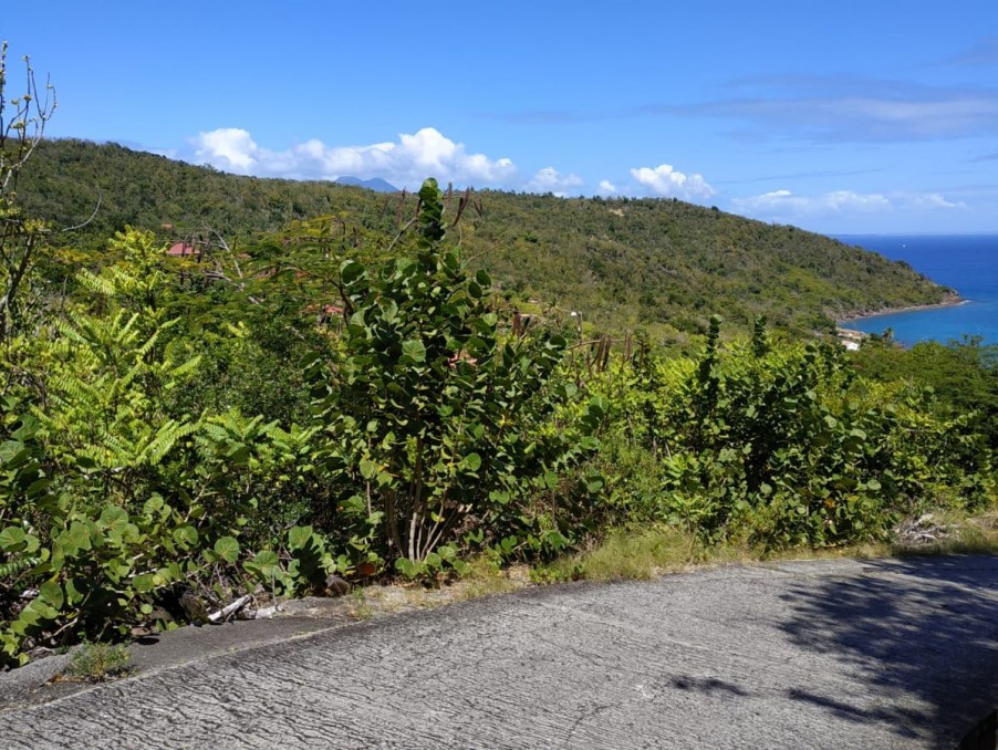 Vente Terrain à Terre-de-Bas 0 pièce