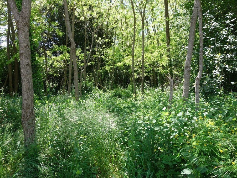 Vente Terrain à Blaye 0 pièce