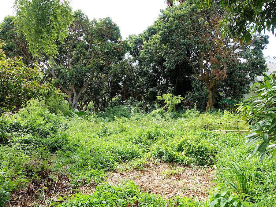 Vente Terrain à la Montagne 0 pièce