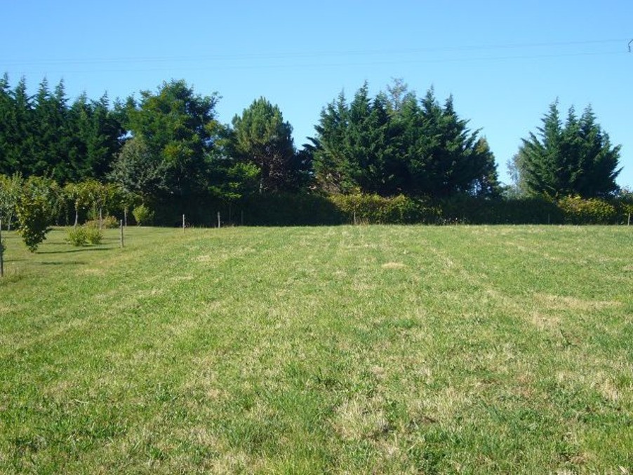 Vente Terrain à Saint-Yrieix-la-Perche 0 pièce