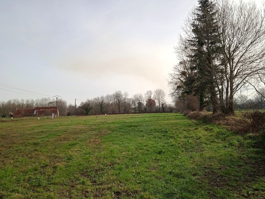 Vente Terrain à Savigny 0 pièce