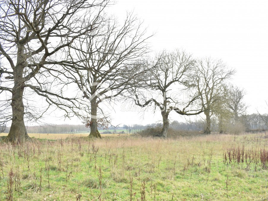 Vente Maison à Doudeville 5 pièces