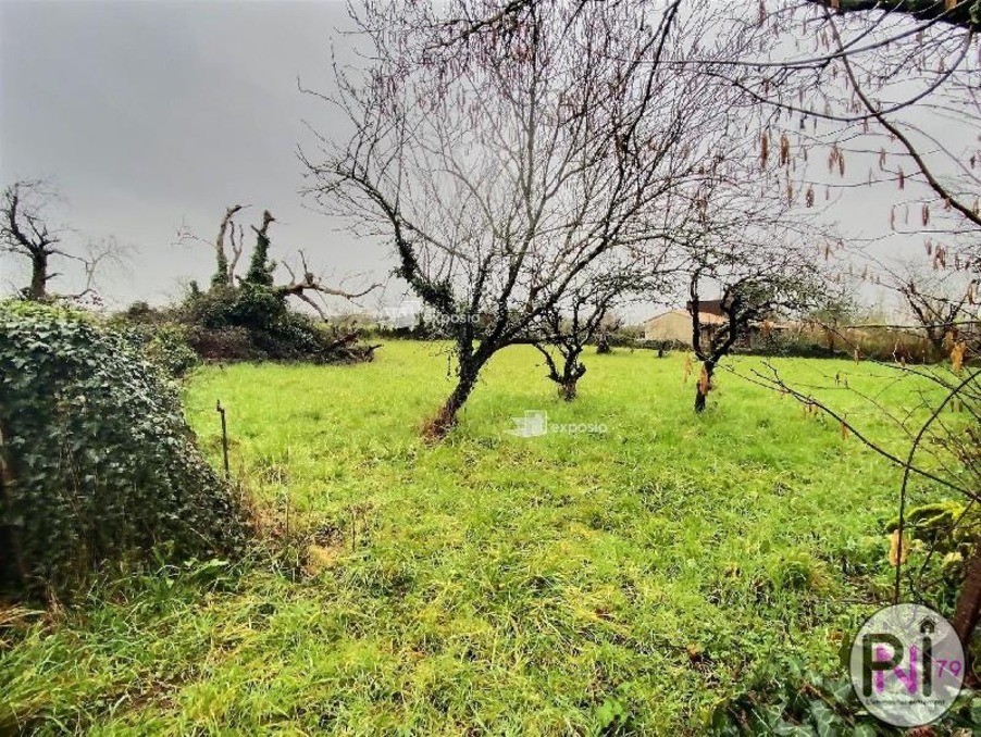 Vente Terrain à Niort 0 pièce