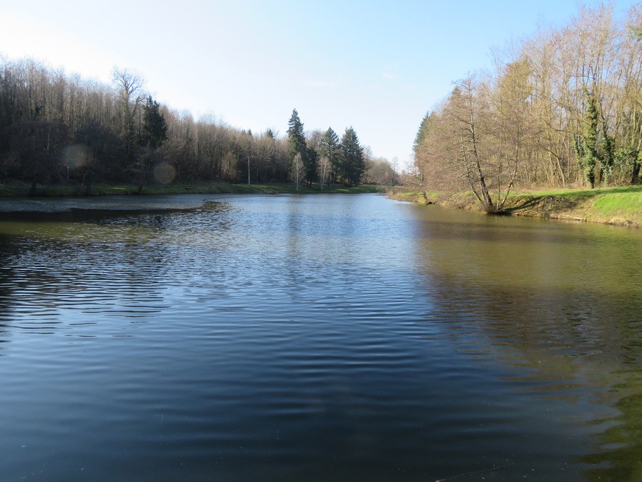 Vente Maison à Saint-Yrieix-la-Perche 3 pièces