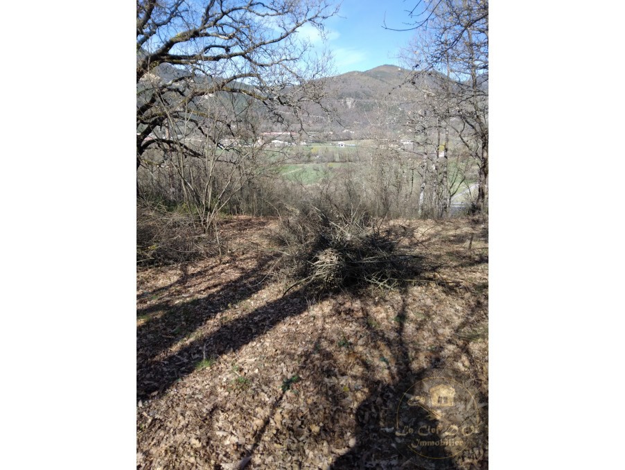 Vente Terrain à Castellane 0 pièce