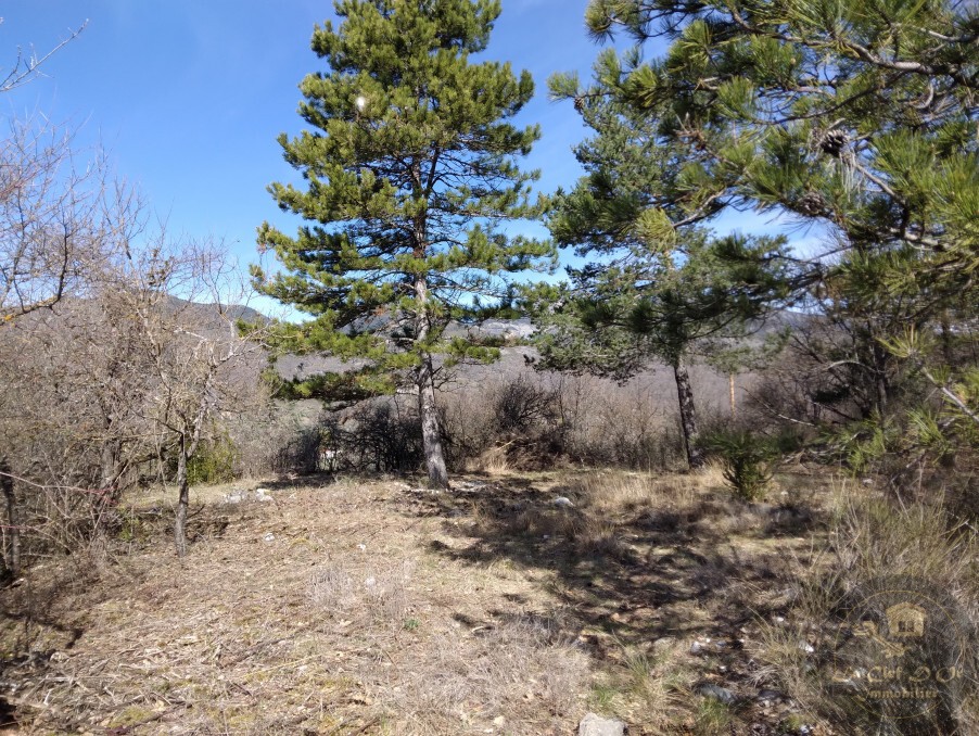 Vente Terrain à Castellane 0 pièce