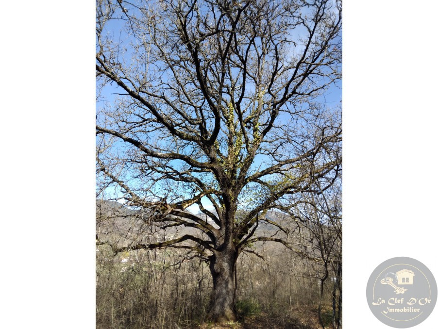 Vente Terrain à Castellane 0 pièce