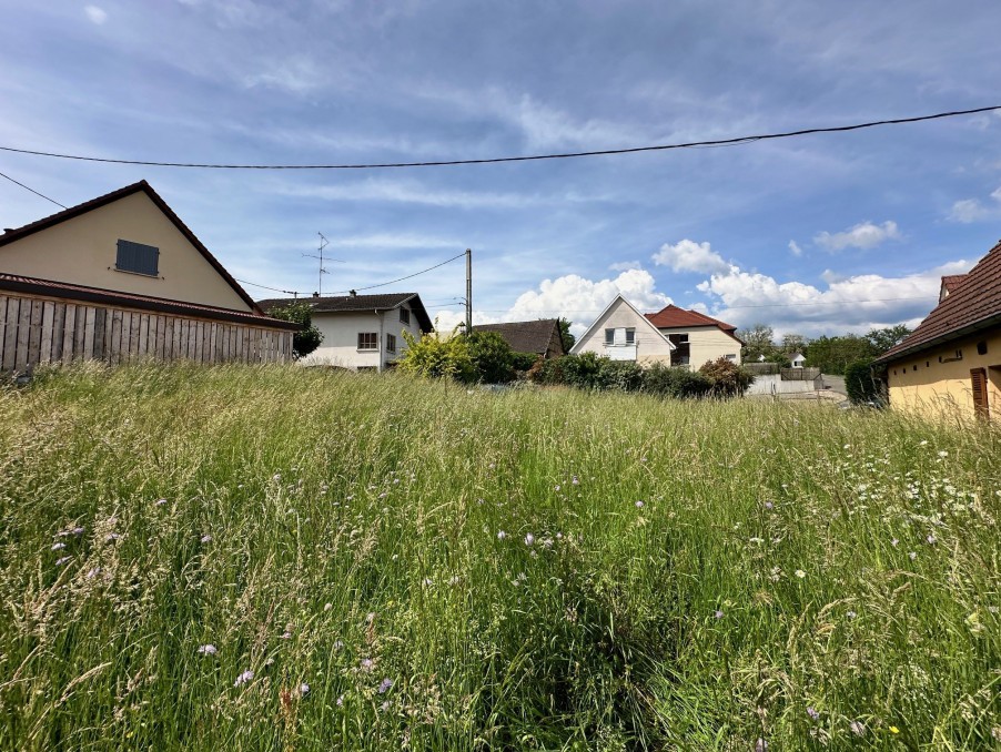 Vente Terrain à Bruebach 0 pièce