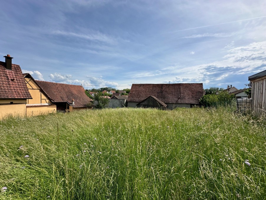 Vente Terrain à Bruebach 0 pièce