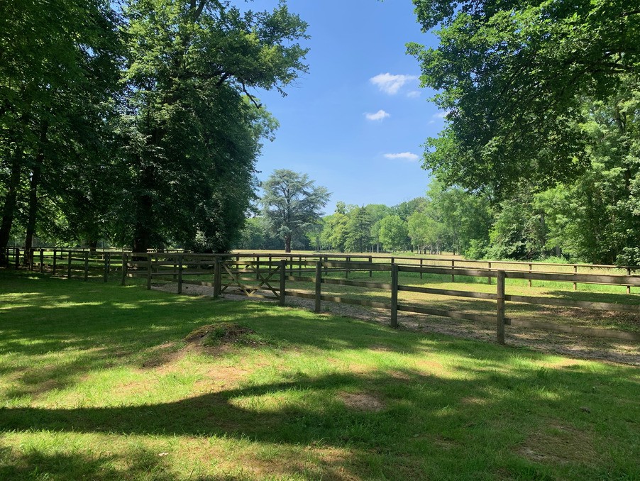 Vente Maison à Fontainebleau 35 pièces