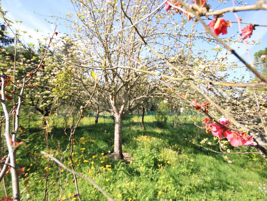 Vente Maison à Bélesta 8 pièces