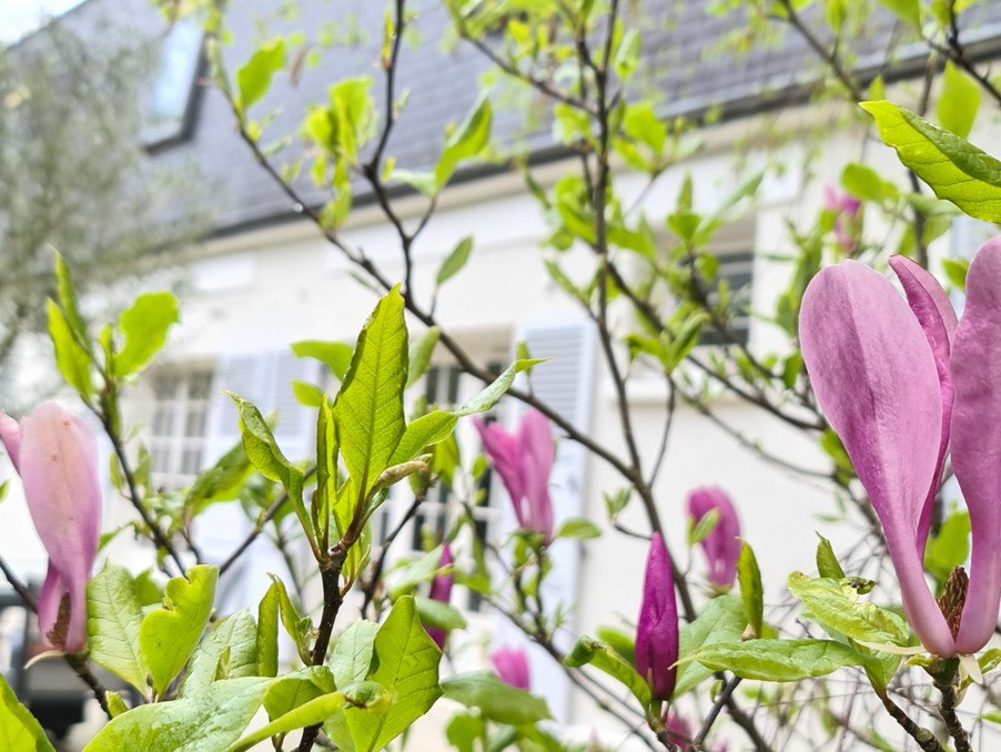 Vente Maison à Chartres 8 pièces