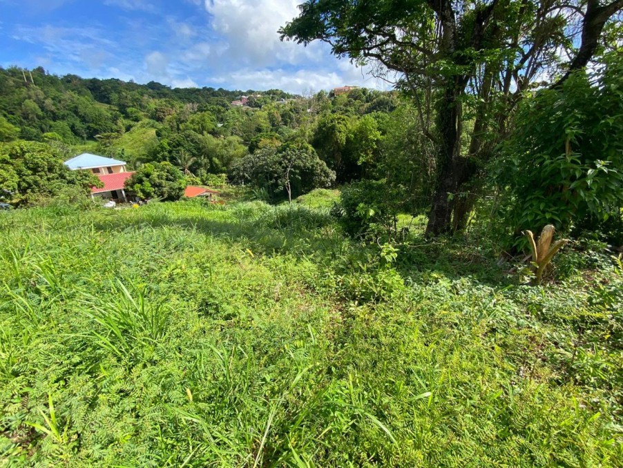 Vente Terrain à Rivière-Salée 0 pièce