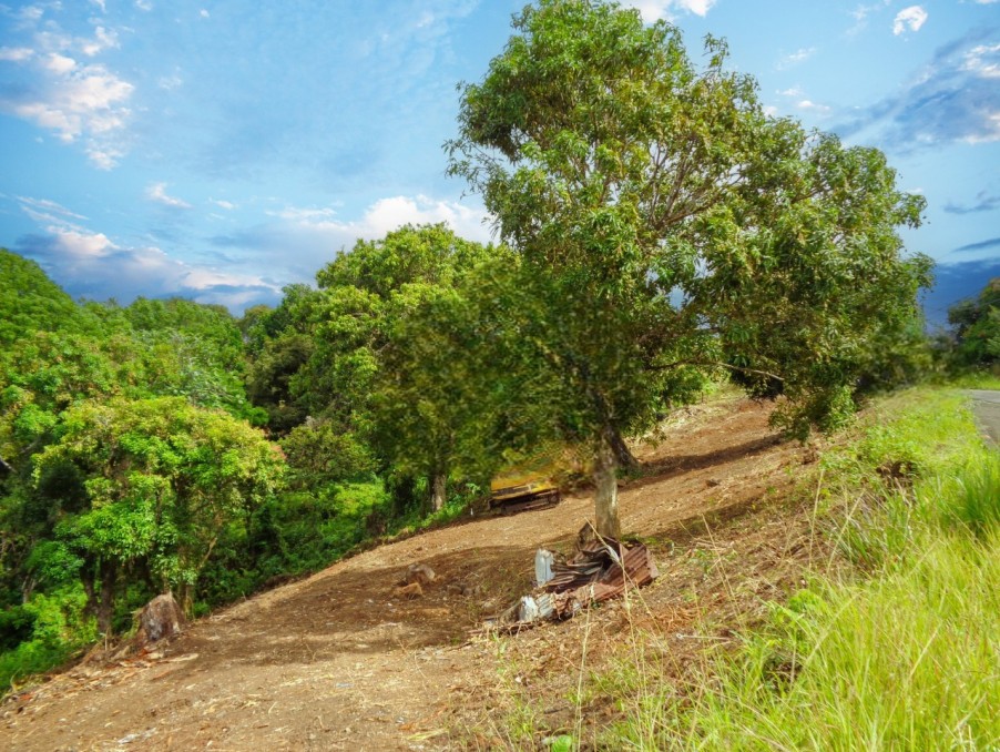 Vente Terrain à le Robert 0 pièce