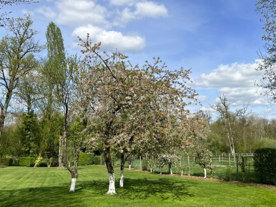 Vente Maison à Fontainebleau 6 pièces