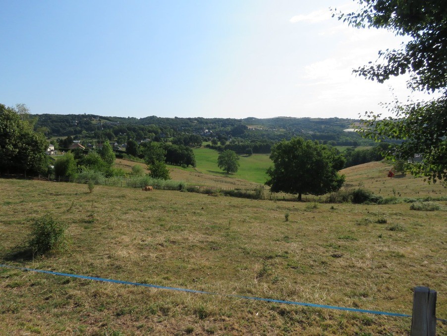 Vente Terrain à Voutezac 0 pièce