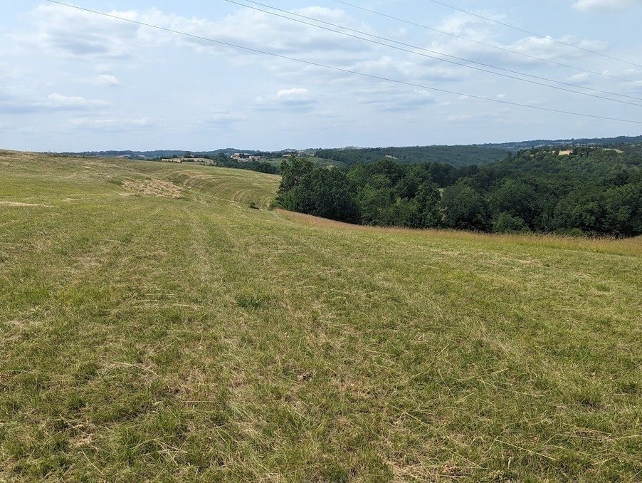 Vente Terrain à Albi 0 pièce