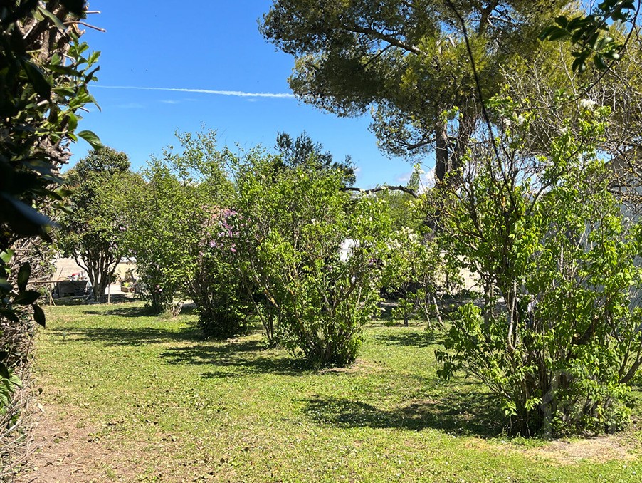 Vente Terrain à l'Isle-sur-la-Sorgue 0 pièce