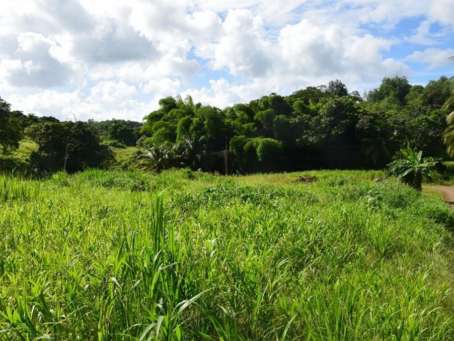 Vente Terrain à Ducos 0 pièce