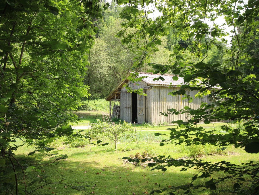 Vente Maison à Mirepoix 15 pièces