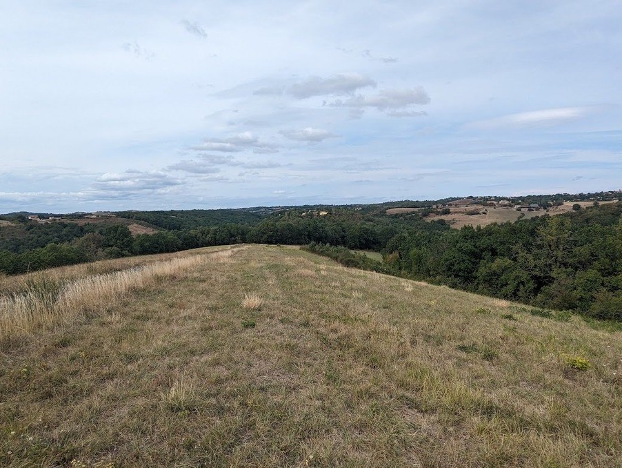 Vente Terrain à Albi 0 pièce