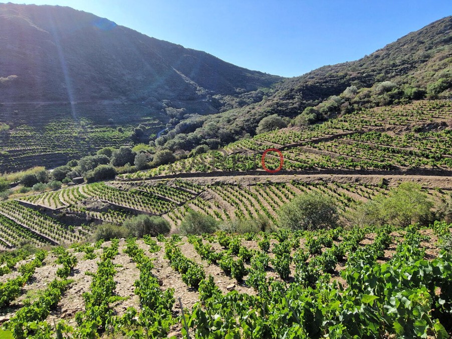 Vente Terrain à Collioure 0 pièce