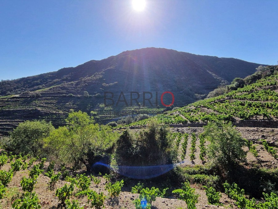 Vente Terrain à Collioure 0 pièce