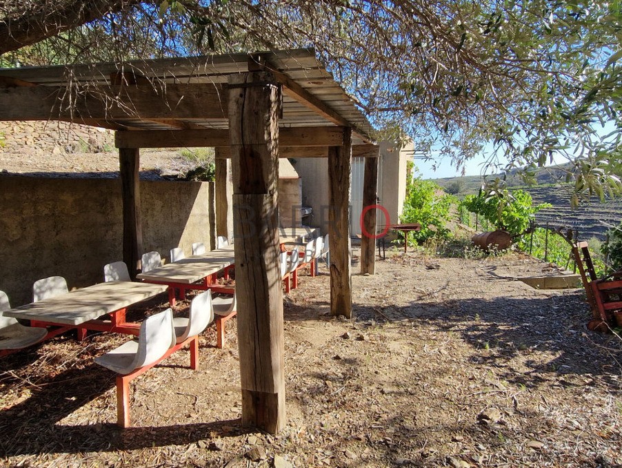 Vente Terrain à Collioure 0 pièce