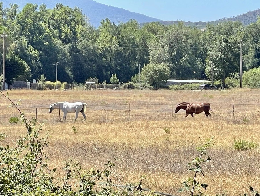 Vente Maison à Grimaud 6 pièces