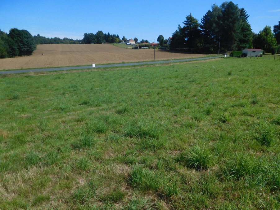 Vente Terrain à Saint-Yrieix-la-Perche 0 pièce