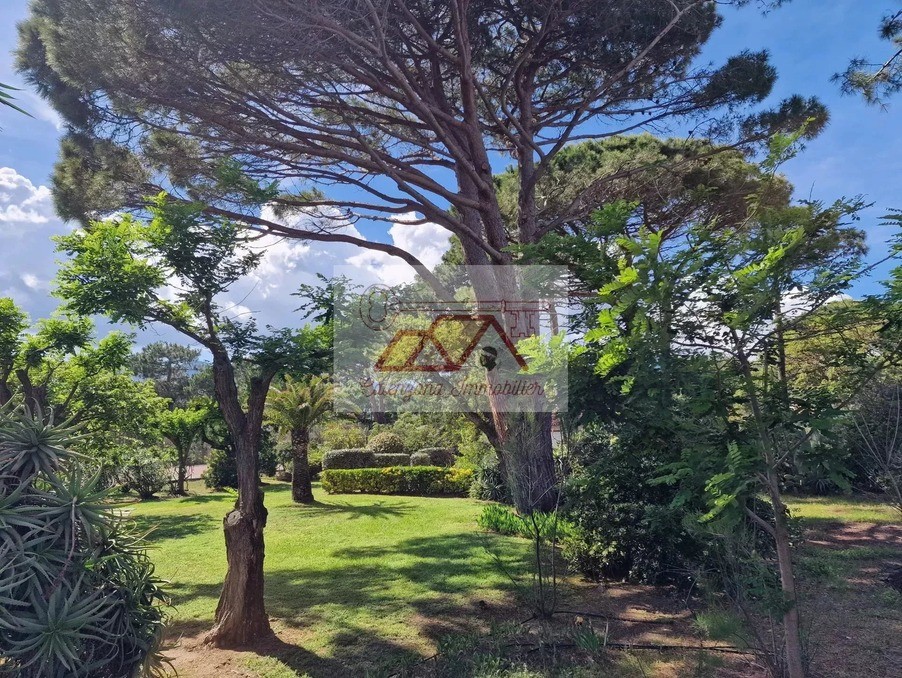 Vente Maison à Bastia 0 pièce