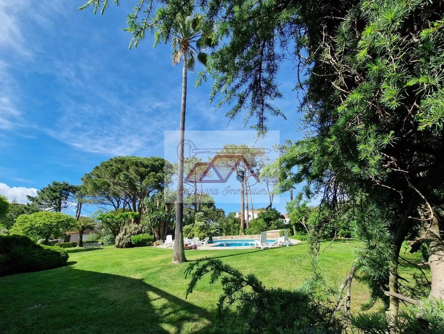 Vente Maison à Bastia 0 pièce