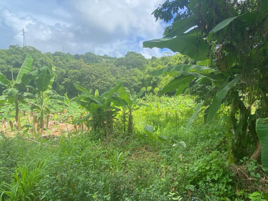 Vente Terrain à Sainte-Marie 0 pièce