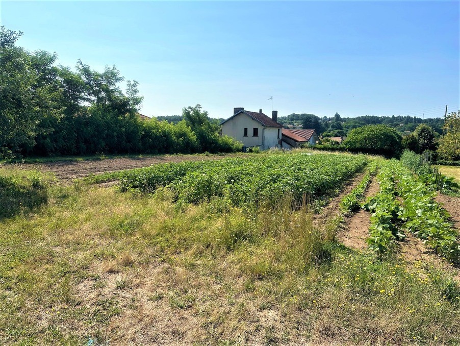 Vente Terrain à Chabanais 0 pièce