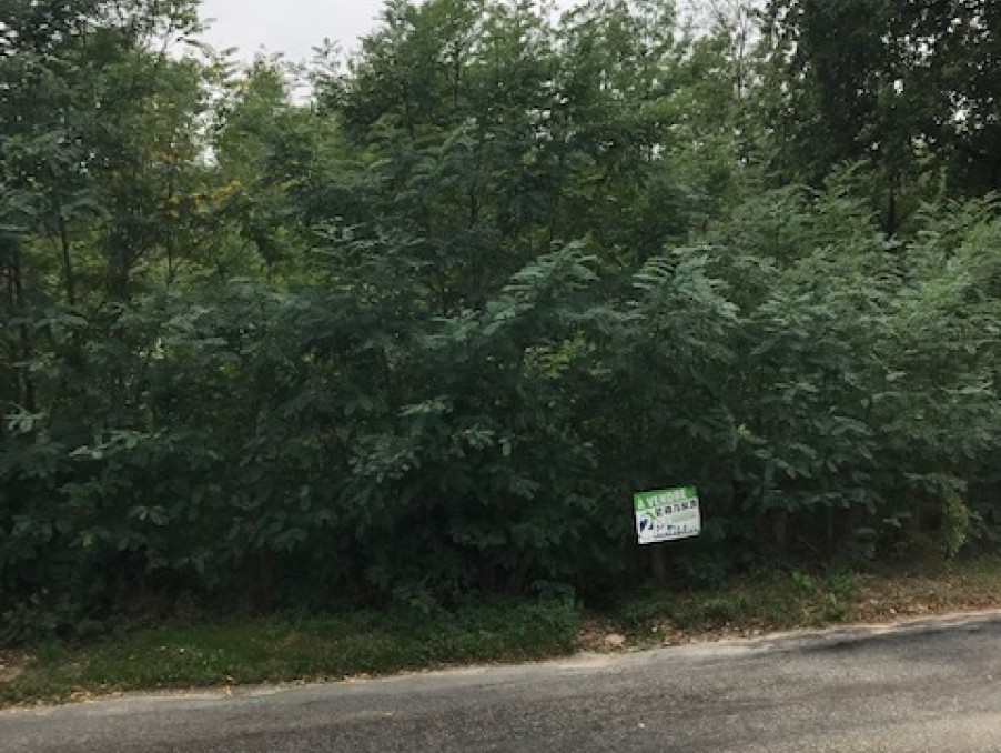 Vente Terrain à Vierzon 0 pièce