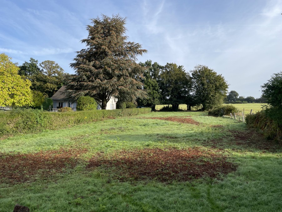 Vente Terrain à la Chapelle-d'Andaine 0 pièce