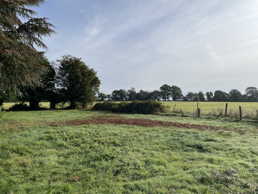 Vente Terrain à la Chapelle-d'Andaine 0 pièce